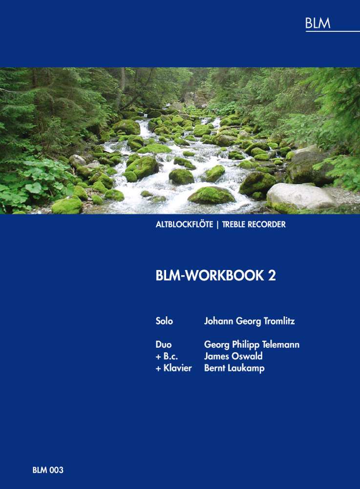 BML Workbook 2